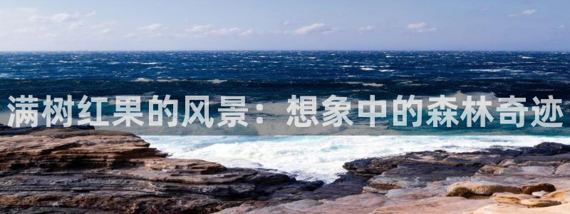 新宝gg   创造奇迹：满树红果的风景：想象中的森林奇迹