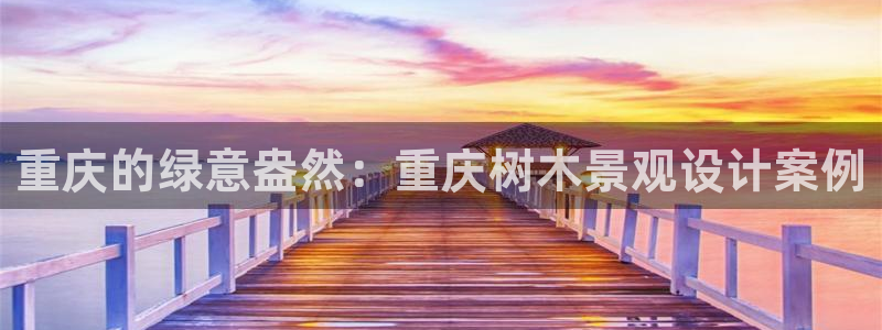 新宝一gg测速