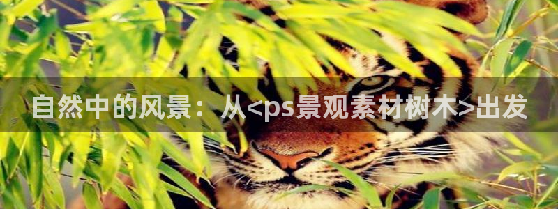 新宝新宝gg开户流程