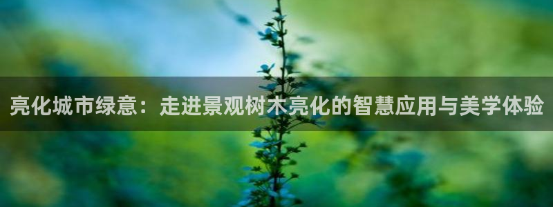 gg新宝时时彩