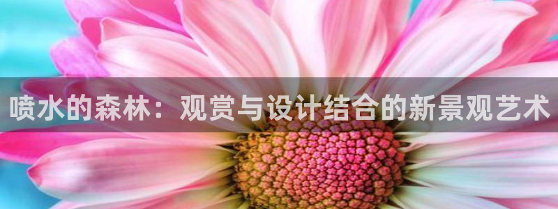 新宝太阳gg
