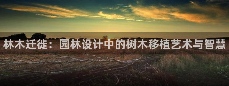 新宝gg注册 776317：林木迁徙：园林设计中的树木移植艺术与智慧