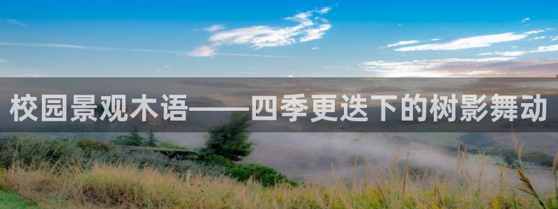 新宝gg合法吗
