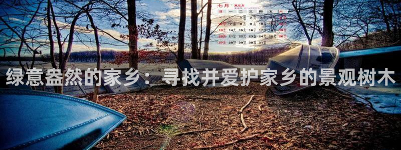 新宝gg 创造