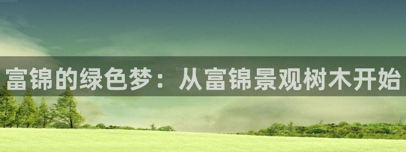 新宝奇迹GG