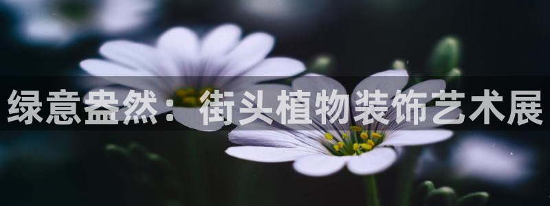 娱乐世界新宝gg