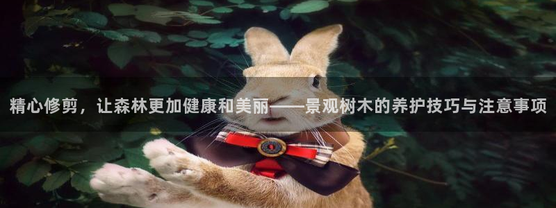 新宝gg是新宝几