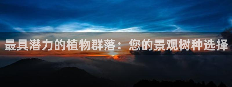 新宝GG网址新宝2