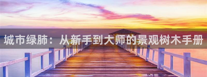 新宝gg 平台怎么样