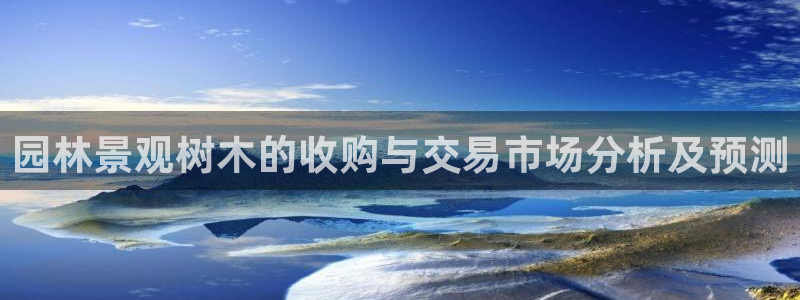 新宝gg怎么开户