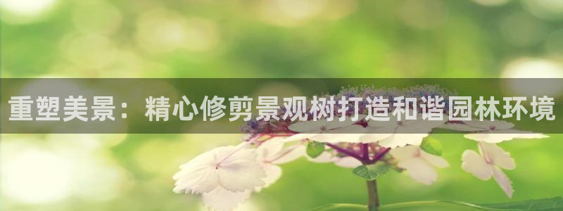 新宝gg网