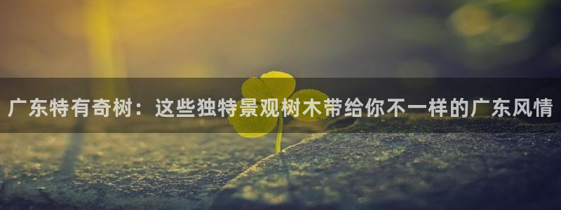 新宝GG反点