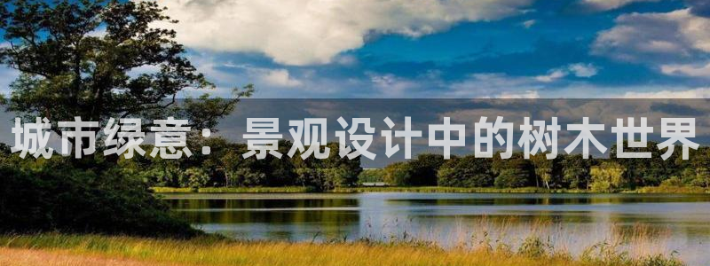 新宝gg在哪开户