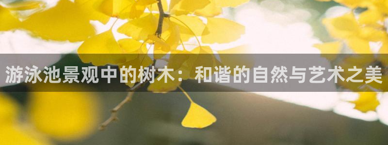 新宝gg   创造