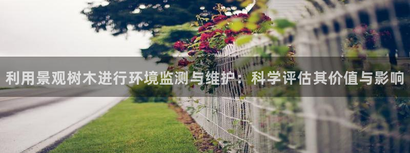 新宝gg手机版下载