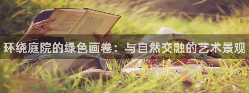 新宝gg — 创造!