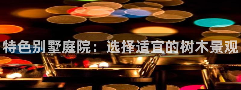新宝一GG