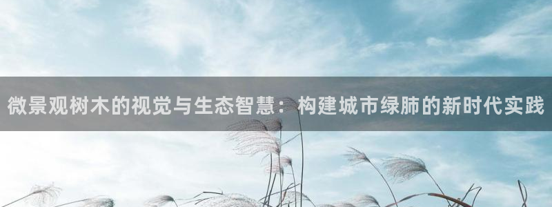 新宝GG娱