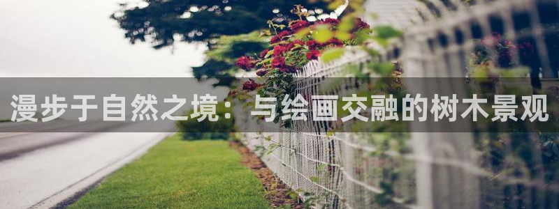 新宝gg直属上级
