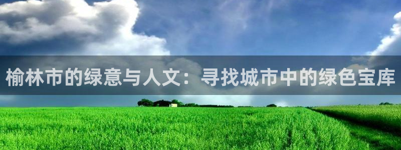 新宝gg账号