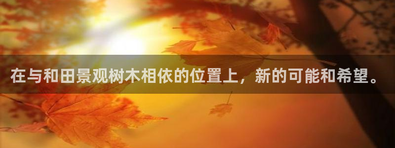 新宝gg提点