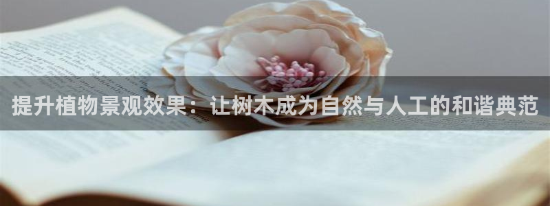 新宝gg龙腾