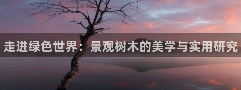 新宝gg109