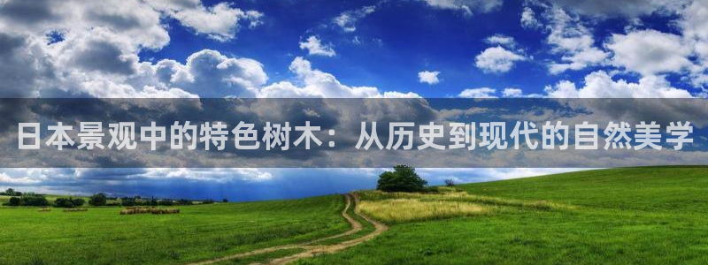 新宝gg好吗