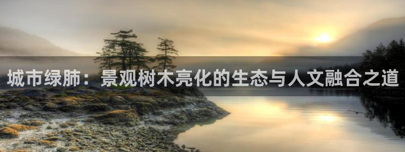 新宝GG上级