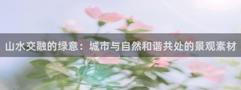 新宝GG—创造奇迹