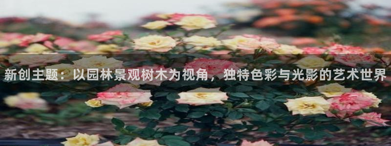 新宝gg靠谱吗