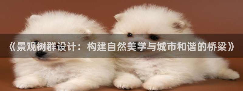 新宝GG—创造奇迹