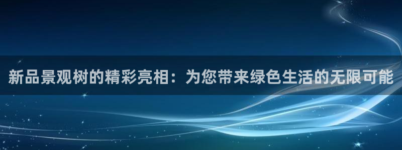 新宝GG链接