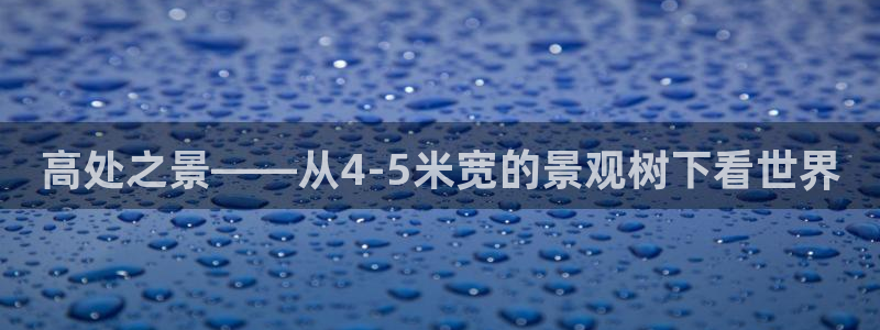 新宝gg开奖结果