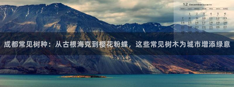 新宝gg主管都是谁