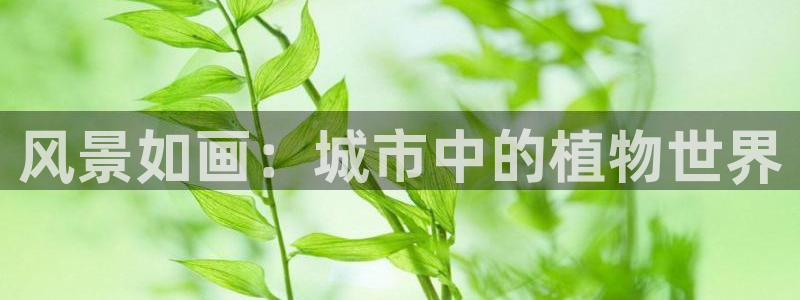 创造奇迹新宝gg