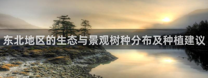 新宝gg首页平台