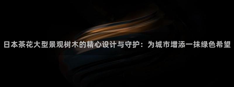新宝gg下载官网下载