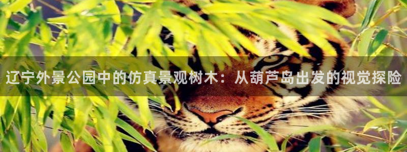 新宝gg主管_