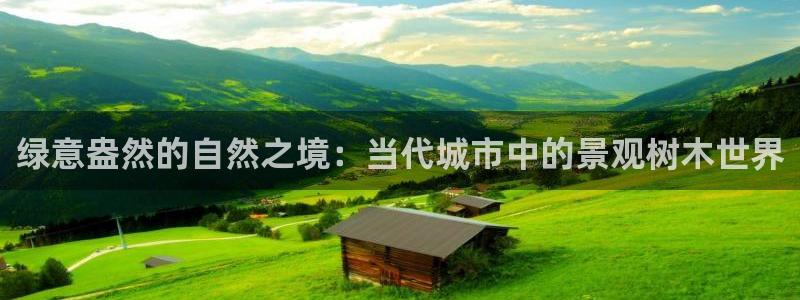 新宝gg招商