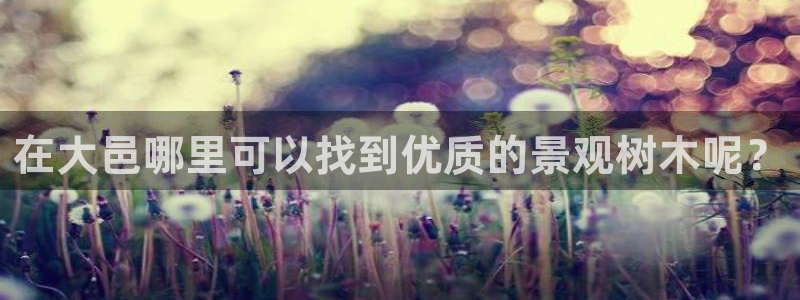 新宝gg总管