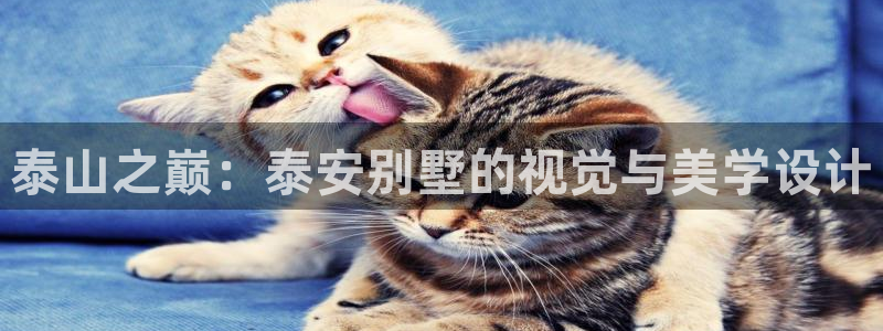 新宝 gg 总代理