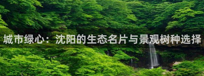 娱乐新宝GG