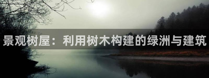 新宝gg入口网址
