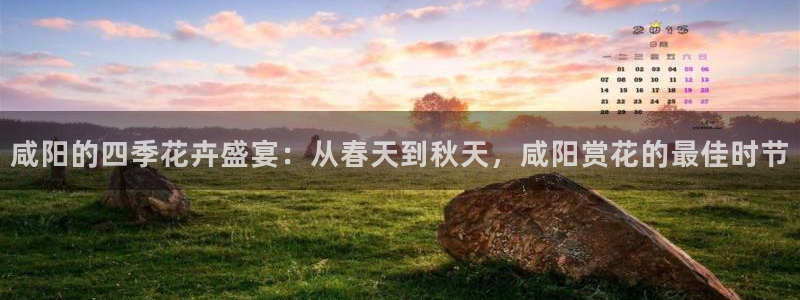 新宝gg 平台怎么样