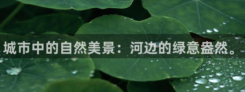 新宝gg真的能赚钱么