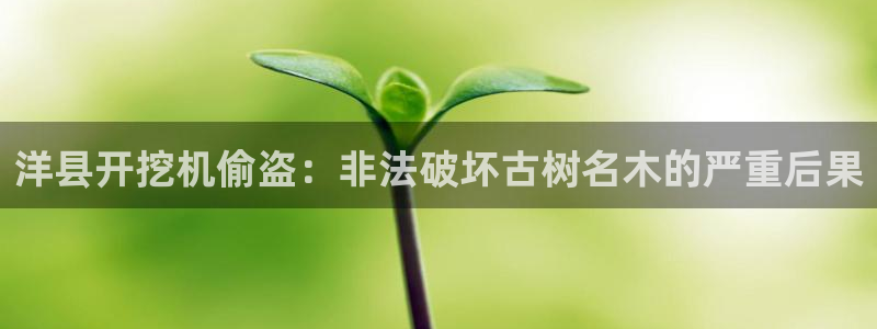新宝哈哈gg