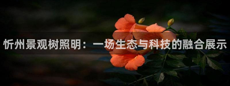 新宝gg如何
