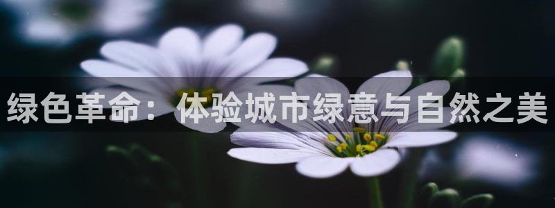 x新宝gg