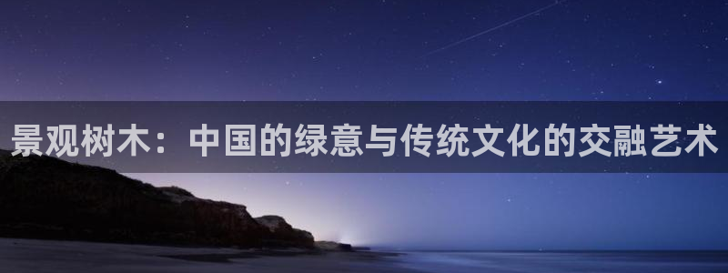 新宝gg专线